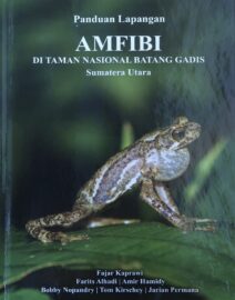 Amfibi TN Batang Gadis (cover)